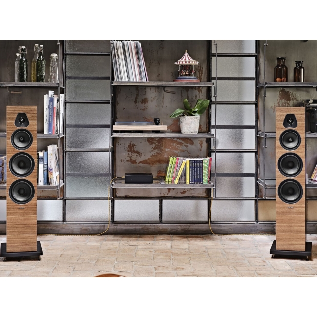 Sonus Faber Lumina V orzech